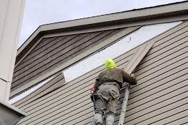 Best Siding Painting and Refinishing  in Perry, OH